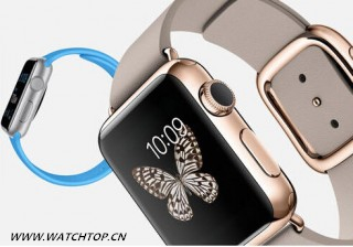 苹果手表是昙花一现还是名副其实？ 苹果手表 热点动态  第1张